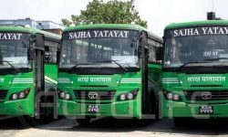 सम्पदास्थलमा साझा यातायात सञ्चालन हुँदै