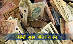 आज डलरदेखि रियालसम्मको कति छ भाउ ?