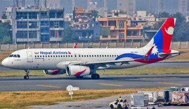 वाइडवडी जहाजले आजदेखि नियमित उडान भर्दै