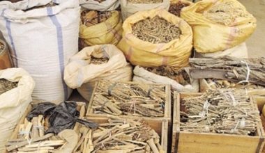 तीनवर्षदेखि रोकिएको जडीबुटी सङ्कलन खुला