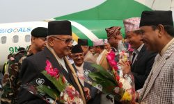 प्रधानमन्त्री ओली झापामा