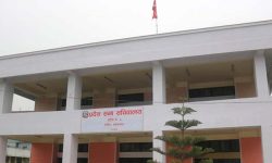 वाग्मती प्रदेशसभा सचिवालयमा दुई विधेयक दर्ता