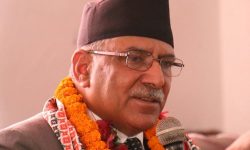 अपेक्षित परिणाम प्राप्त नहुनुको कारण खोजी गरिन्छ : अध्यक्ष दाहाल