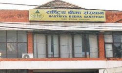 बीमा संस्थानको कोषमा  रु २६ अर्ब, बीमक सात लाख