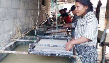 नेपाली हाते कागज उद्योग