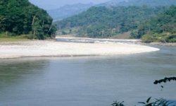 अरुणमा जडान गरिएको फेरी सात दिन नहुँदै बिग्रियो