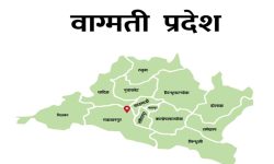 कोरोना : प्रदेशका १३ जिल्लामा पाँच हजार कीट