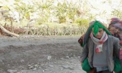 भाइरल ज्वरोका कारण  २ जनाको मृत्यु, ३ सय विरामी