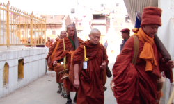 काठमाडौँदेखि कपिलवस्तुसम्म ‘शान्ति पैदल यात्रा’ हुँदै