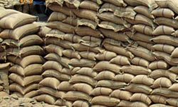 कुहिएको चामल प्रशोधन गरेर बिक्री गर्ने तयारीमा खाद्य कम्पनी