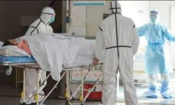 दक्षिण कोरियामा २ हजार ३३७ जना कोरोना भाररस सङ्क्रमित