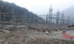 दोर्दीले पायो शेयर निष्कासन स्वीकृत