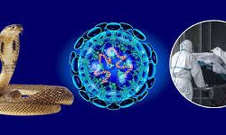 कोरोना भाइरसका कारण मर्नेको संख्या २५९ पुग्यो, साँढे ११ हजार बढी संक्रमित रहेको आशंका