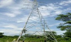 विद्युत् विस्तार गर्न ११ हजार रूख कटान