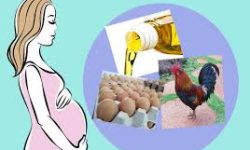 गर्भवतीको पोषण अवस्था सुधार गर्न अण्डा र झण्डा वितरण अभियान