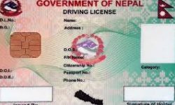 बाँकी लाइसेन्स प्रिन्ट गर्न छ महिना लाग्छ : यातायात व्यवस्था विभाग