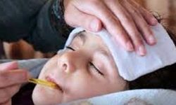 मौसमी भाइरल ज्वारोबाट सिङ्गो गाउँ नै प्रभावित