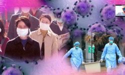 कोरोन भाइरस : ज्यान गुमाउनेको संख्या ७ सय १७ पुग्यो, ३१ हजार बढी संक्रमित