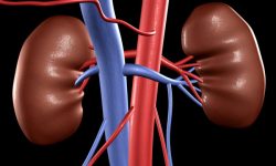 किड्नी बिगार्ने यस्ता बानी