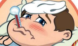 बाजुरामा फैलिएको भाइरल ‘इन्फुयल्जा ए भाइरस’ रहेको पुष्टि