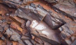 दुई किलोमिटर लम्बाइमा फलाम खानी