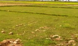 सरकारी जग्गा फिर्ता अभियान : व्यक्तिले दर्ता गरेको २६४ बिघा जग्गाको दर्ता बदर