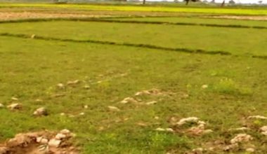 सरकारी जग्गा फिर्ता अभियान : व्यक्तिले दर्ता गरेको २६४ बिघा जग्गाको दर्ता बदर