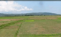 वडा कार्यालयलाई जग्गादान