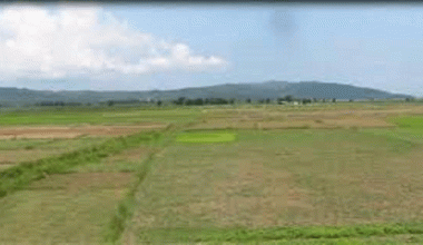 वडा कार्यालयलाई जग्गादान