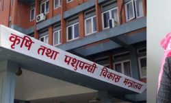 डा. जीसीको राजीनामासँगै कृषि सचिवको दरवन्दी हटाईँदै