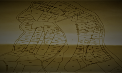 यसरी मेटिँदै छन्  नापी नक्सा