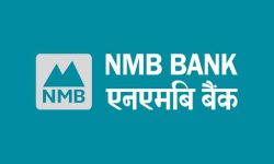 एनएमबी बैंक र नेपाल उद्यमशील महिला महासङ्घविच सहुलियत कर्जा प्रवाहबारे समझदारी