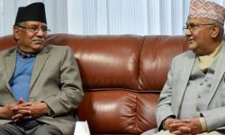 दुई अध्यक्षबीच समसामयिक विषयमा छलफल