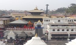 पशुपतिनाथको शिवलिंगमा सुनको जलहरी राख्ने प्रक्रिया अघि बढ्यो