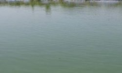 राजा महेन्द्रको स्वागतकालागि पुरिएका ऐतिहासिक ‘निगु पुखुः’ पुनर्निर्माण शुरु