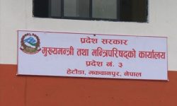 जनप्रतिनिधिले तलबको सट्टा भत्ता पाउने