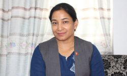 भरतपुरकाे नौवटा वडाको मतगणना सकियो, महानगरमा दाहालकै अग्रता