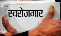 एकल महिनालाई आयआर्जन तालीम