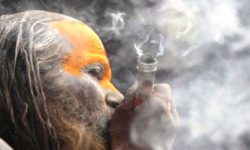 गाँजा सेवन गर्न नपाउने भएपछि  हराए भोलेबाबा