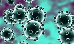 कोभिड–१९ असर : पोखरामा खेलकूद गतिविधि बन्द