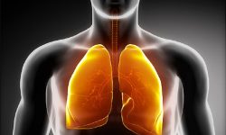 सास फुल्ने कारण अनि त्यसबाट बच्ने उपयहरु