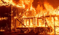 दिल्लीमा आगलागी हुँदा सात जनाको मृत्यु