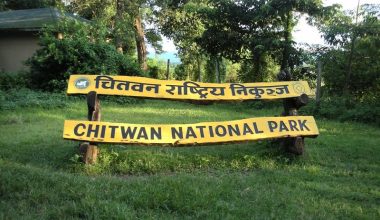 कोभिड १९ : होटल बन्द, निकुञ्ज प्रवेशमा रोक