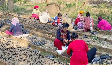 बिरुवा उत्पादन गर्न प्लास्टिकको थैलामा माटो भर्दै  महिला