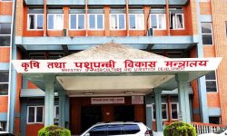 आगामी कृषि बजेटमा कटौती भए पनि अनुदान रकममा भने वृद्धि गरिने