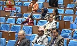 सांसदहरुले कोरोना भाइरसका बारेमा आवाज उठाए