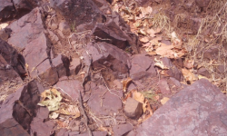 तित्याङमा एक वर्षभित्रै तामाखानी सञ्चालनमा आउने