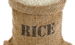 विपन्न २३ घरपरिवारलाई खाद्य सामग्री