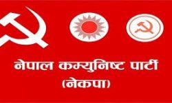 ११ वटै स्थानीय तहमा जनसम्बन्ध विस्तार अभियान शुरु