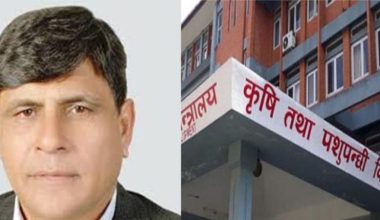 भारतबाट धूलो दूध आयात स्वीकृत दिने तयारीमा कृषि मन्त्री